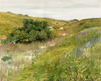 Chase, William Merritt - Landscape Shinnecock Hills